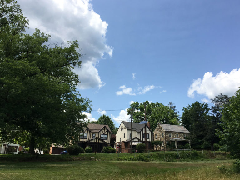 Cadwalader Park Natural Area - Lamoka Ledger