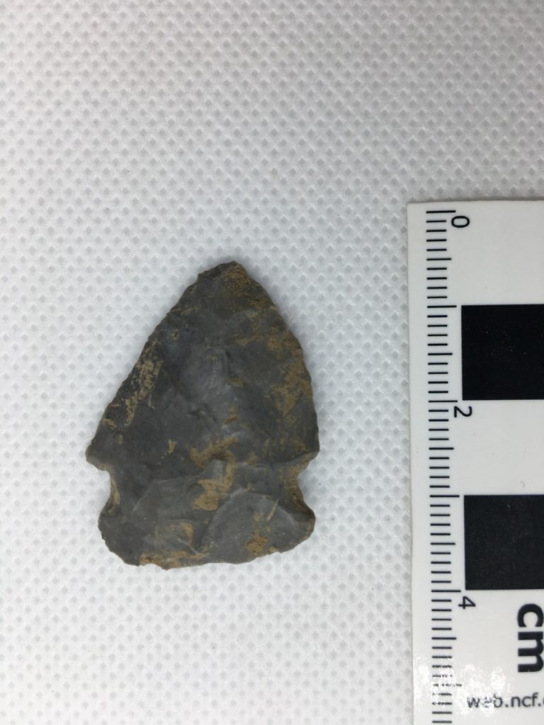 Side-Notched Projectile Point