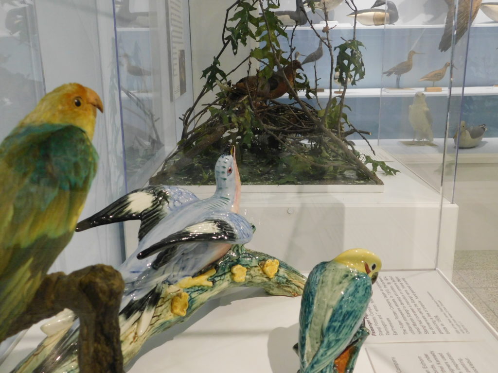 Taxidermied and ceramic birds